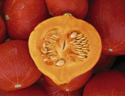 Picture of Organic Winter Squash Solor